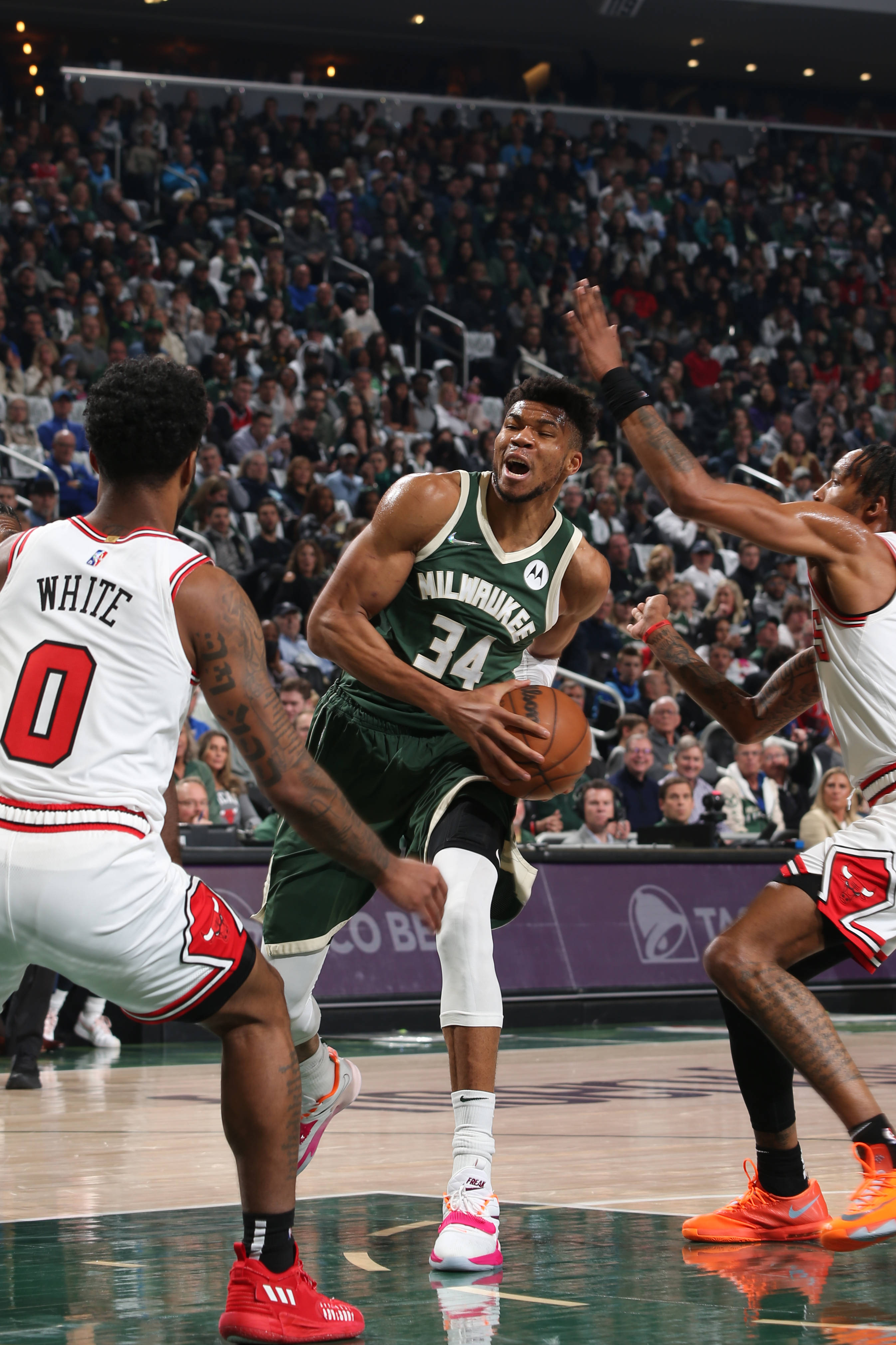 清晨夏洛特黄蜂备战欧篮联蒂姆与90激战巴黎圣日耳曼分钟，媒体一致点评：字母哥迎来三赛季高光表现的简单介绍